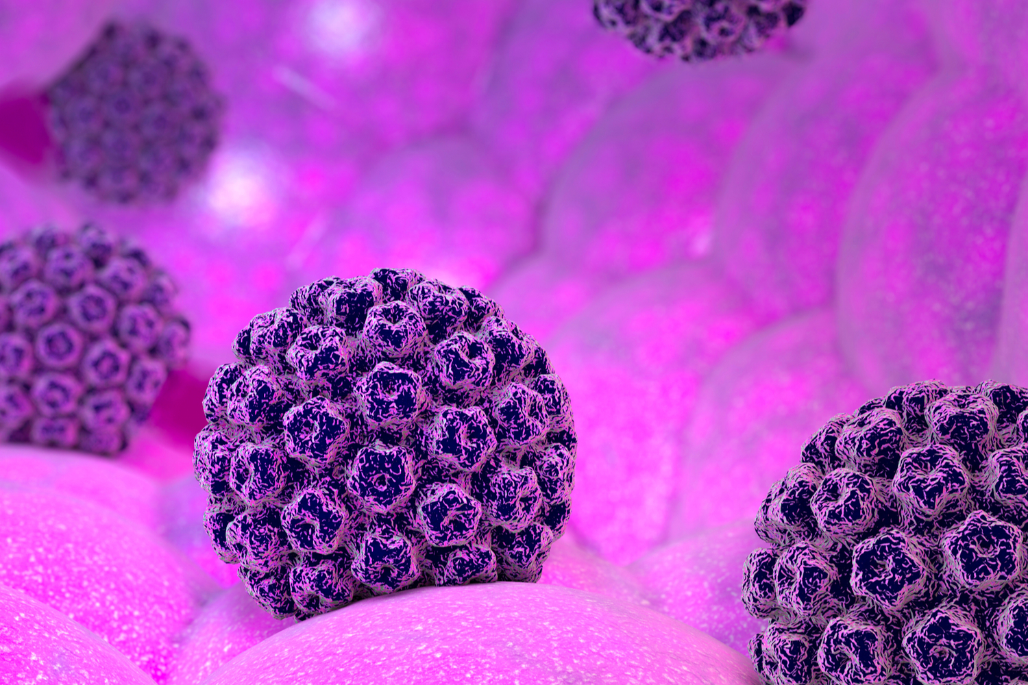 3D rendering of the human papillovirus (HPV). HPV is the most commonly spread sexually transmitted disease but spread can be prevented with the HPV vaccine.